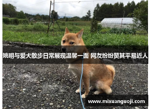 姚明与爱犬散步日常展现温馨一面 网友纷纷赞其平易近人